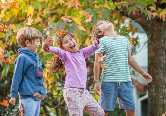 Donate Tax Rebate Header Donate Tax Rebate Header